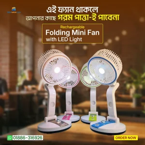 LR Folding Fan